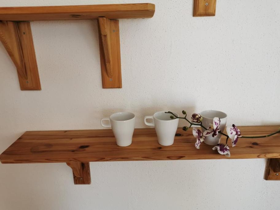 Apartma Lindau Lendava Esterno foto